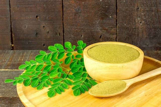 Ilustrasi daun kelor. Foto: Ninetechno/pixabay.com