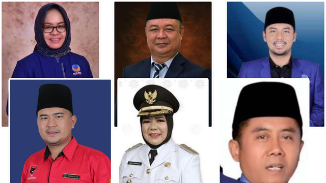 Bakal Calon Bupati Kabupaten Mesuji Pilkada 2024 | Foto : Istimewa