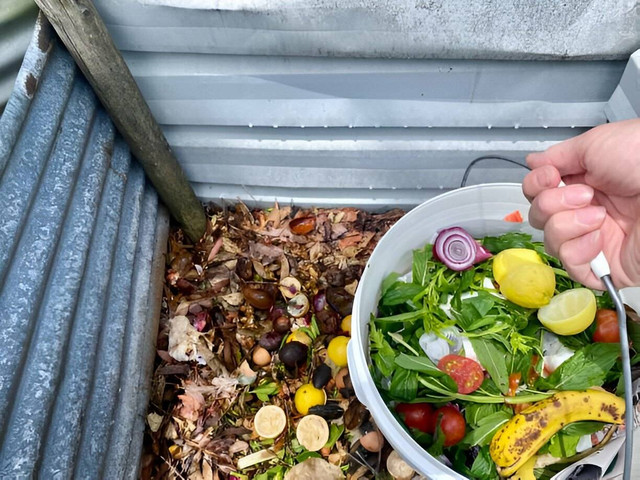 Membuat kompos di rumah dapat dimulai dengan memisahkan sampah sisa makanan (Sumber: iStock)