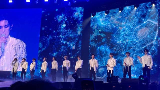 Ilustrasi Profil Sunwoo THE BOYZ. Foto: Nurlaela/Kumparan