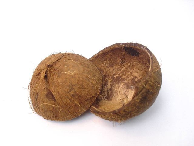 Ilustrasi tempurung kelapa dapat digunakan sebagai bahan - Sumber: pixabay.com/dmead