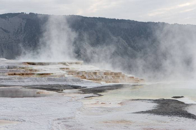 Papandayan Nature Park (Foto hanya ilustrasi, bukan tempat sebenarnya) Sumber: unsplash.com/ Nico Bistolfi