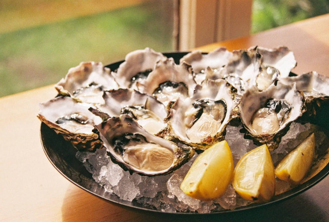 Oyster di Jakarta, foto hanya ilustrasi, bukan tempat sebenarnya: Unsplash/Yukiko Kanada