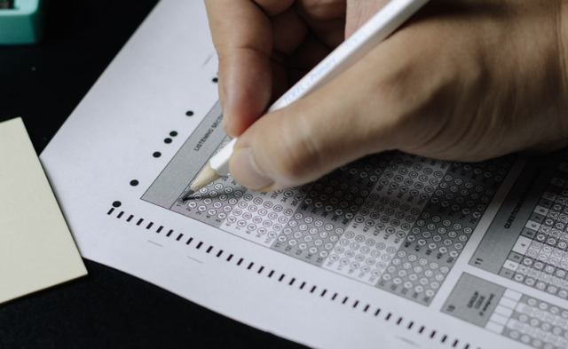 Ilustrasi soal pat pkwu kelas 10 semester 2. Sumber: Unsplash/Nguyen Dang Hoang Nhu