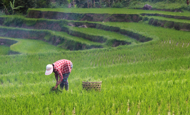 Sumber Gempong. Foto hanya ilustrasi, bukan tempat sebenarnya.Sumber: Unsplash/Shayan Giasvand