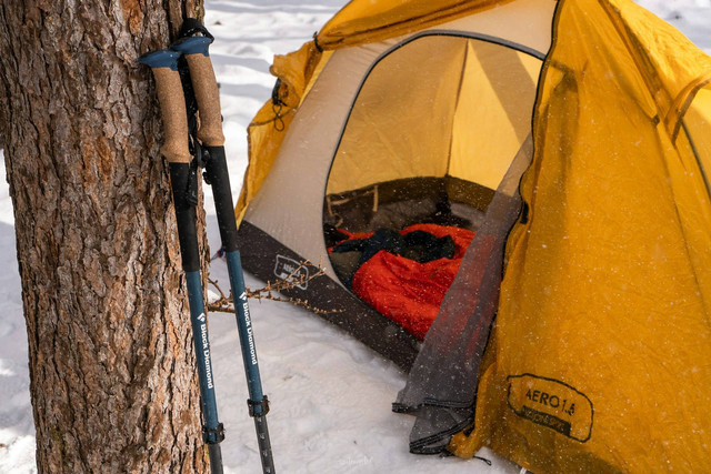 Ilusstrasi trekking pole. Sumber foto: Unsplash