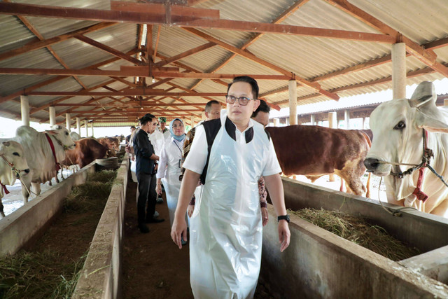 Pj Gubernus Jatim Adhy Karyono saat mengunjungi peternakan sapi ongole, tempat Presiden Jokowi membeli hewan kurban. Foto: Humas Pemprov Jatim