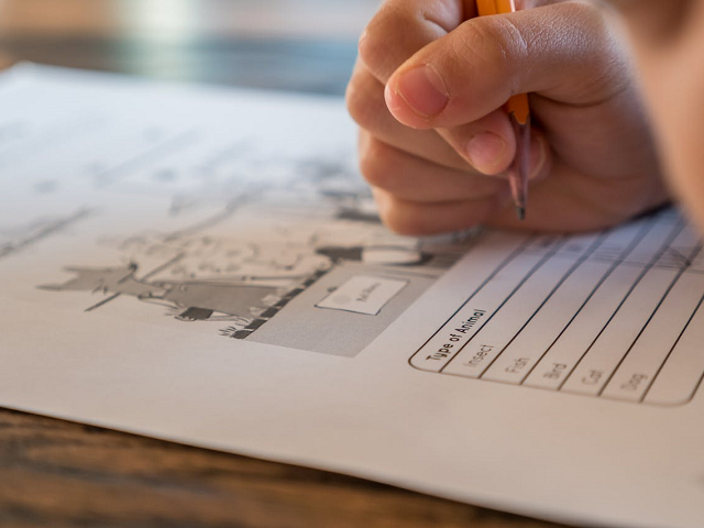 Ilustrasi soal PAT matematika kelas 2 semester 2 Kurikulum Merdeka. Sumber: pexels.com/Thepaintedsquare.