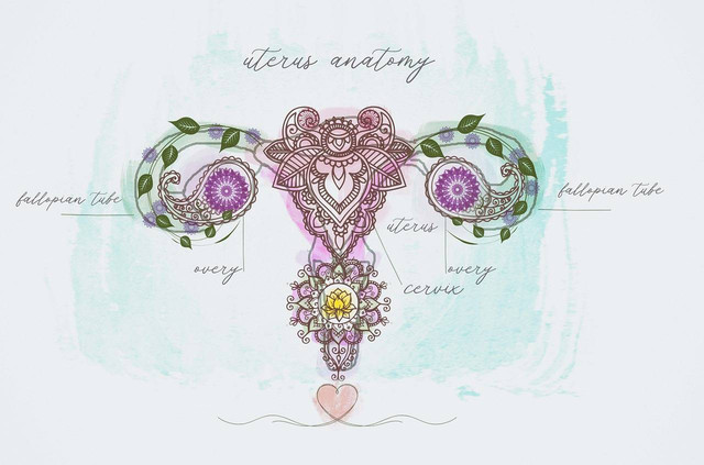 Ilustrasi rahim by Bianca Van Dijk from Pixabay