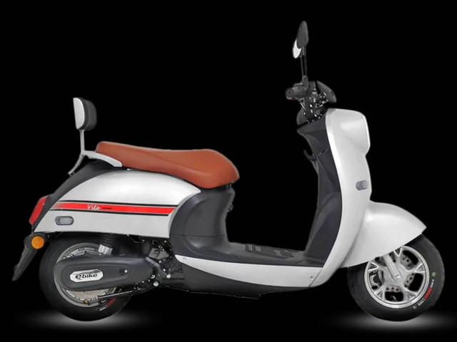 Spesifikasi Motor Listrik Exotic Vito. Sumber: exotic.pacific-bike.com