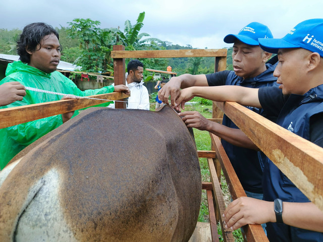 Human Initiative jaga kualitas hewan kurban. Foto: Human Initiative.