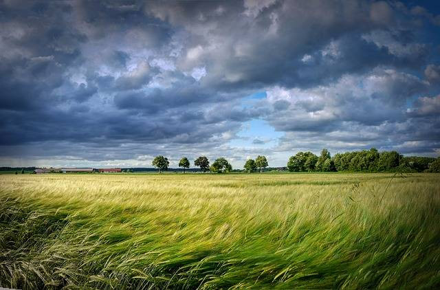 Ilustrasi angin lokal adalah udara yang bertiup di dekat wilayah permukaan bumi. Foto: Pixabay.