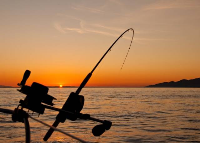 Tips Mancing Ikan di Waduk. Foto Hanya Ilustrasi. Sumber Foto: Unsplash.com/James Wheeler