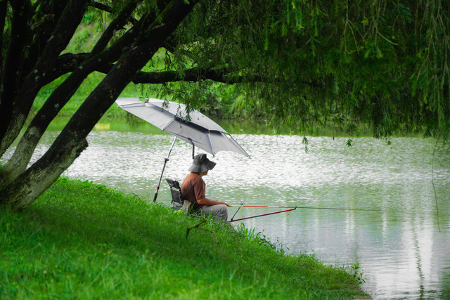 Foto Hanya Ilustrasi: Tips Mancing di Sungai. Sumber: Nghia Vucas/Pexels.com