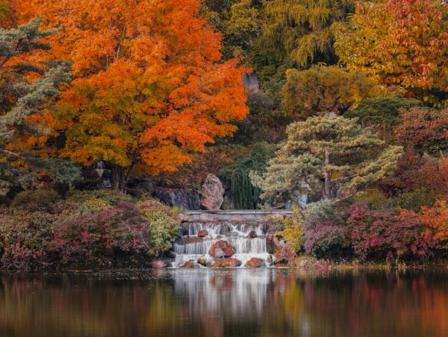 Ilustrasi urutan satuan ekosistem dari yang paling besar. Sumber: pexels.com/SkylerEwing.