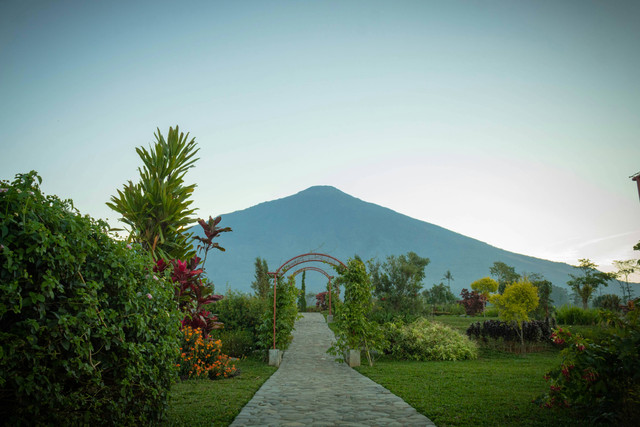 Taman Langit Pulosari. Foto hanya ilustrasi, bukan tempat sebenarnya. Sumber: unsplash.com