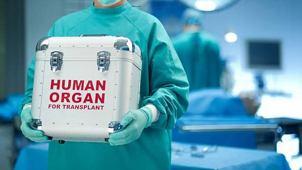 Ilustrasi Transplantasi Organ (Sumber : istockphoto)