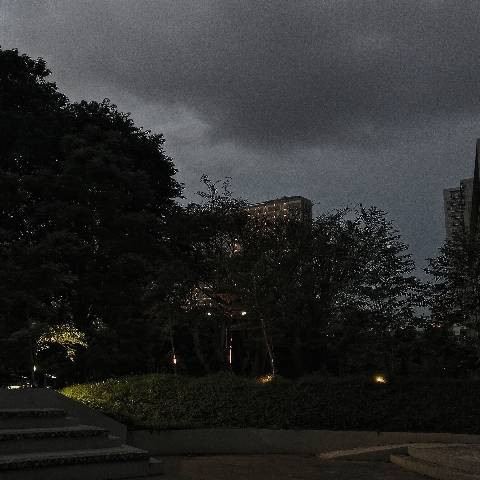 Taman,  Rumah Sakit Universitas Indonesia