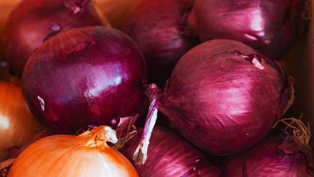Ilustrasi cara mengatasi layu fusarium pada bawang merah. Sumber foto: pexels/Kindel Media.