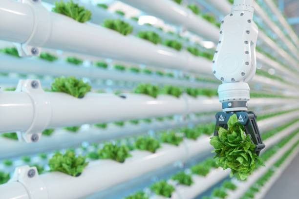 Java Agritech Merupakan AgriTech Indonesia: Peran Pemerintah dalam Masa Depan Digital Pertanian ...