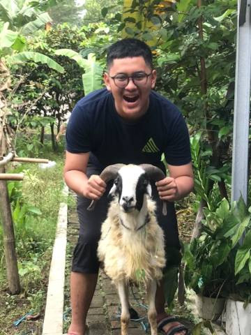 Kambing yg akan di kurbankan, 17/06/2024. Foto. Wonglanang