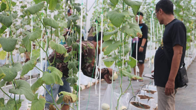 Sejumlah pengunjung saat kunjungi Agrowisata Girli Farm yang terletak di Desa Sumberejo, Kecamatan Japah, Kabupaten Blora. Selasa (18/06/2024). (Aset: Istimewa)