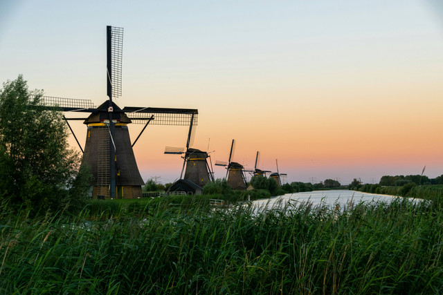 Ilustrasi Kenapa Belanda Disebut Netherland? Sumber: Unsplash