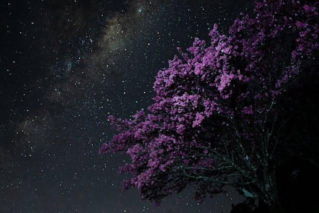 Cara Memotret Bintang dengan HP Samsung. Foto Hanya Ilustrasi. Sumber Foto: Pexels.com/Dijanynni Kiratza