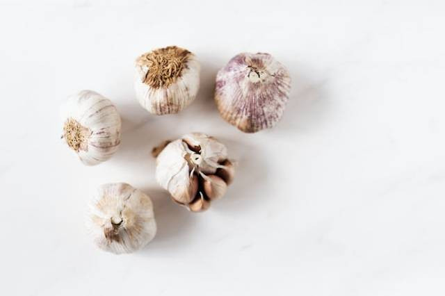 Ilustrasi hama penyakit tanaman bawang putih, sumber foto: Karolina Kaboompics by pexels.com