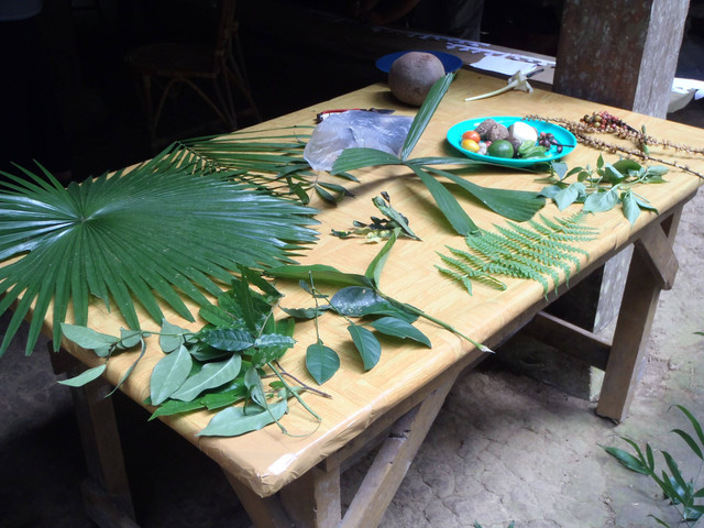 Daun, bunga, buah dapat diambil dari pohon-pohon di sekitar (Foto: Marlina Ardiyani)