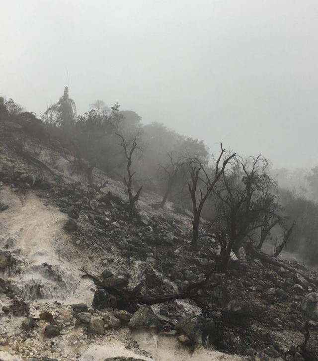 Dokumentasi Pribadi; Hutan mati, Kawah Ratu