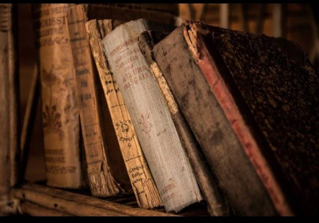 Ilustrasi Foto : Shutterstock