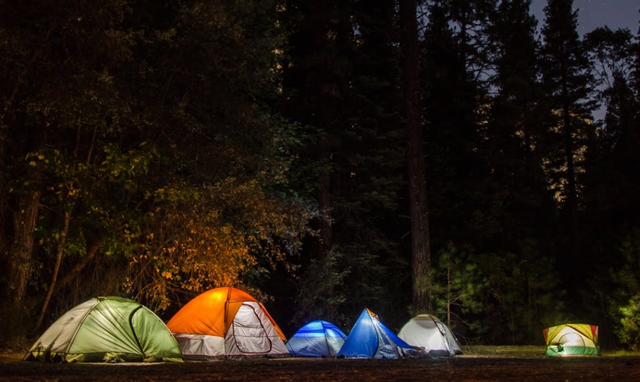 3 camping ground di cikole. Foto hanya ilustrasi, bukan tempat sebenarnya.Sumber: Sumber: Pexels/Snapwire