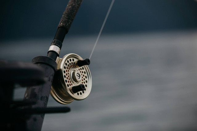 Ilustrais senar pancing untuk pemula. Sumber foto: Unsplash