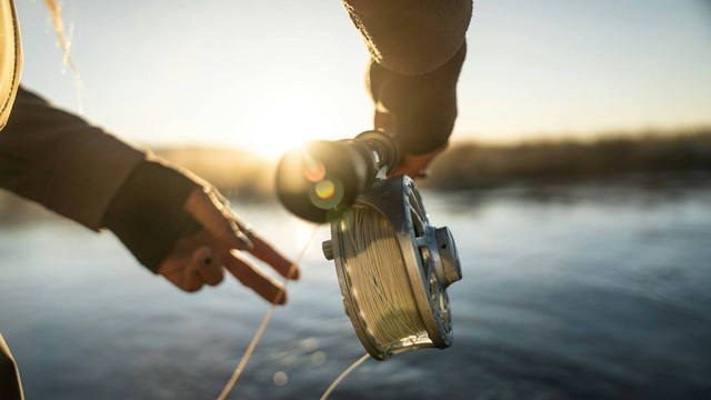 Ilustrasi ukuran senar untuk pemula. Sumber foto: Unsplash