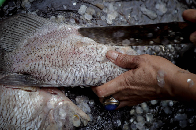 Aktivitas penjual ikan di salah satu pasar tradisional di Jakarta, Kamis (27/6/2024). Foto: Jamal Ramadhan/kumparan