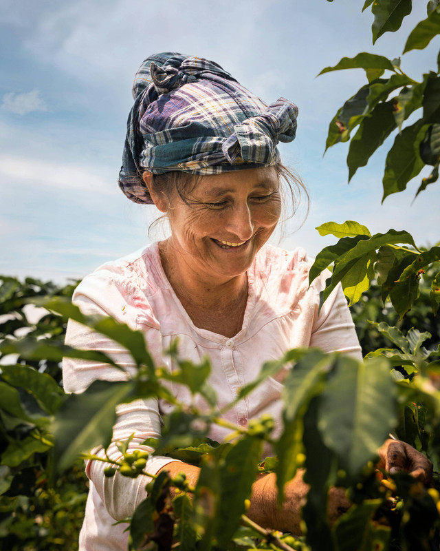 Petani kopi: pexels