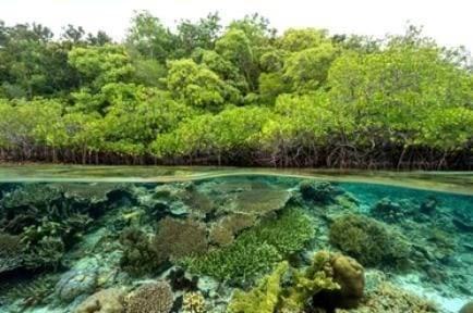 Sumber: Shutterstock