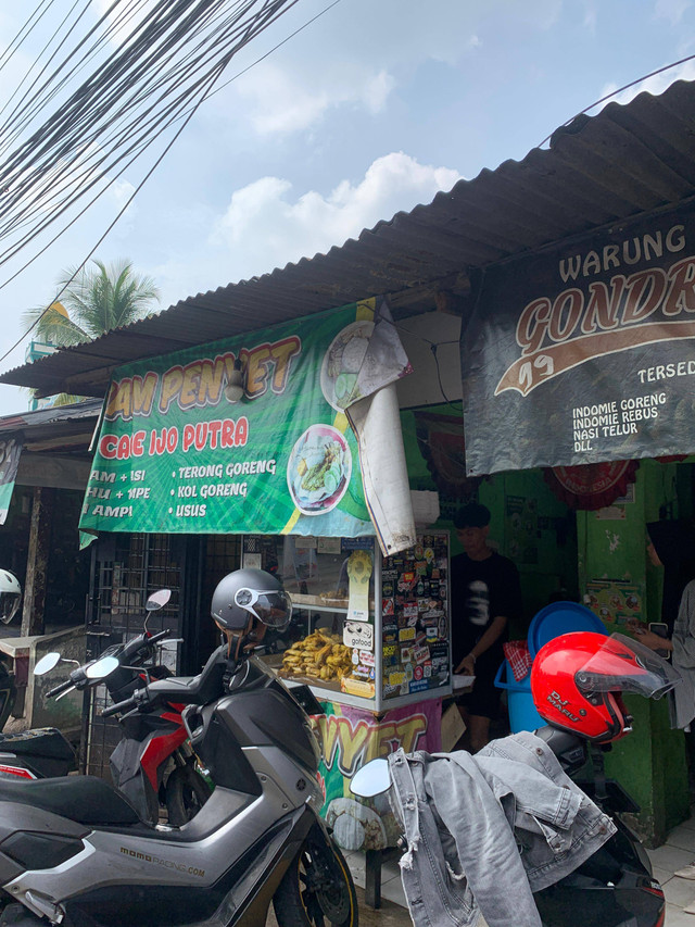 Ayam Penyet Cabai Ijo Putra Foto: Milik Pribadi