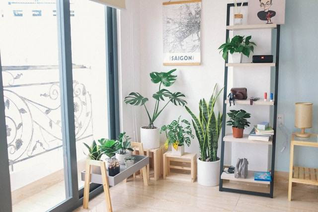 Apakah Pot Termasuk Media Tanam? Foto Hanya Ilustrasi. Sumber Foto: Unsplash.com/Huy Phan