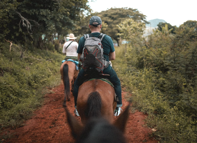 daarus sunnah-horse riding & archery. Foto hanya ilustrasi, bukan tempat sebenarnya.Sumber: Unsplash/Alexandre Trouve