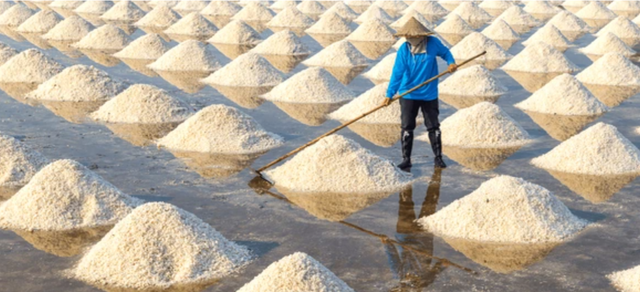 Ilustrasi petani garam madura. Foto: Shutterstock