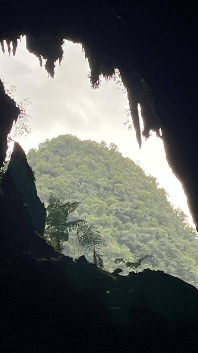 Pemandangan di Deer Cave, Sarawak, Malaysia.
 Foto: Aprilandika Pratama/kumparan