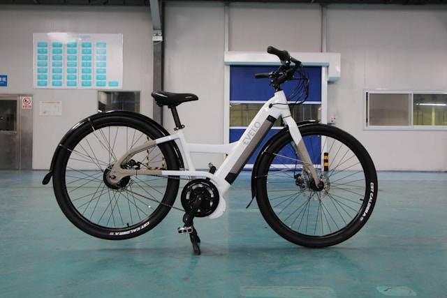 Sepeda Listrik Tidak Bisa Digas? Foto Hanya Ilustrasi. Sumber Foto: Unsplash.com/Team Evelo