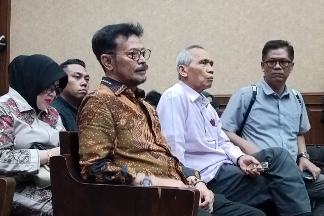 Sidang lanjutan dugaan korupsi pungli di Kementan untuk terdakwa Syahrul Yasin Limpo (SYL) dkk, PN Jakarta Pusat, Senin (8/7/2024). Foto: Hedi/kumparan