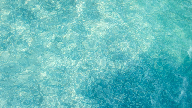 Ilustrasi kolam. Foto: MUHAMMAD ASNAWI 15/Shutterstock