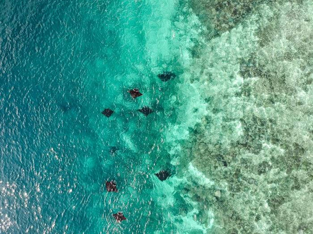 Labuan Cermin (Foto hanya ilustrasi, bukan tempat sebenarnya) Sumber: unsplash/ Aruka Death