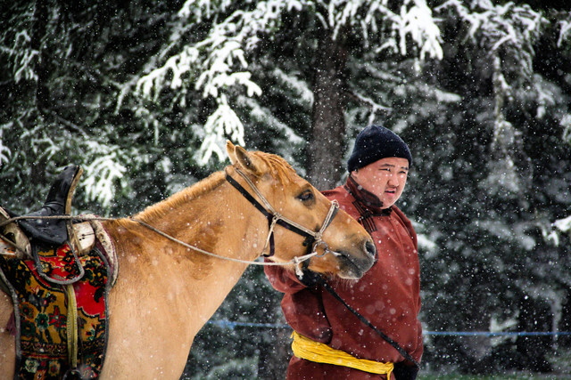 Seorang penduduk asli Mongolia dengan kuda tunggangannya di musim salju. Photo: Uchral Sanjaadorj on Unsplash