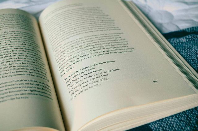 Ilustrasi materi ekosistem kelas 10. Sumber: Pexels/Jonathan Meyer