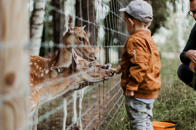 wisata edukasi di bandung. Foto hanya ilustrasi, bukan tempat sebenarnya.Sumber: Unsplash/Diga Ellaby
